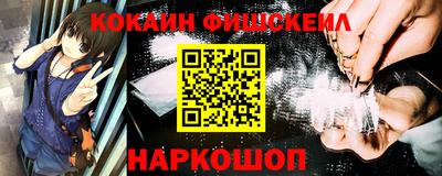 a pvp Новозыбков