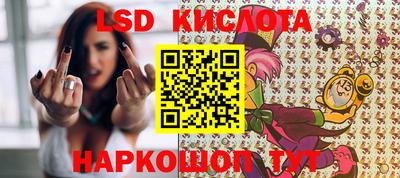 a pvp Новозыбков