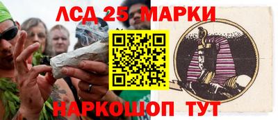 a pvp Новозыбков