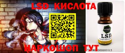 a pvp Новозыбков
