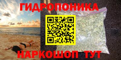 apvp Новодвинск