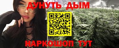 a pvp Новозыбков