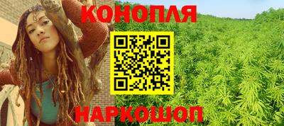 a pvp Новозыбков