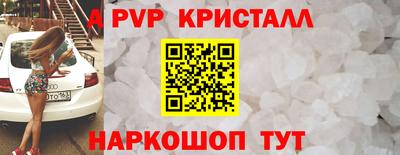 a pvp Новозыбков