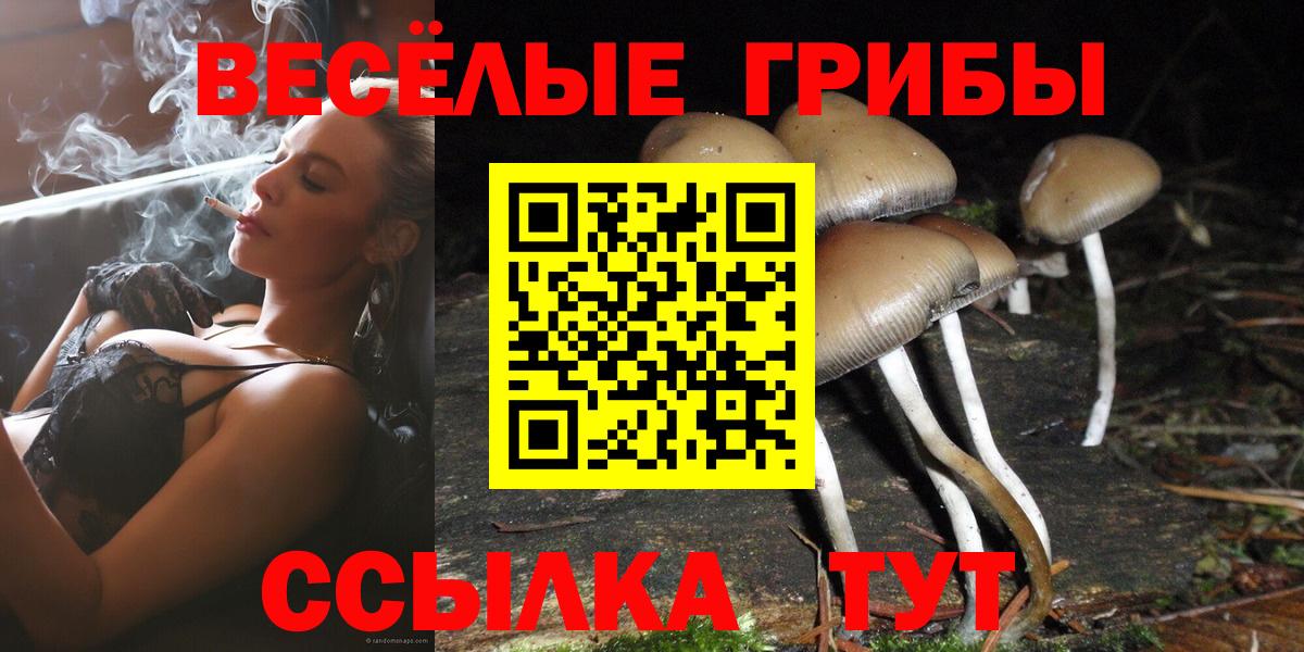 Псилоцибиновые грибы Magic Shrooms  Вход с VPN  Ржев 