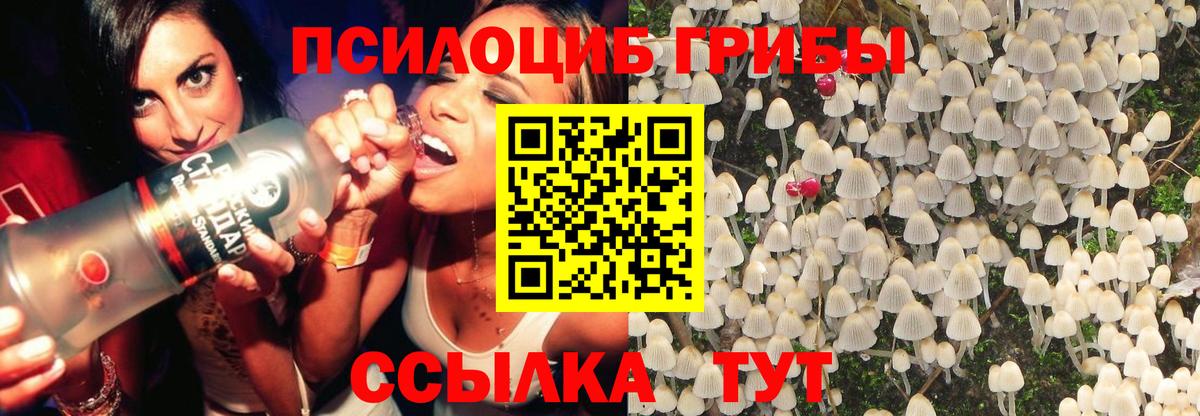 Псилоцибиновые грибы GOLDEN TEACHER Ржев